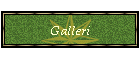 Galleri