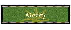 Moray