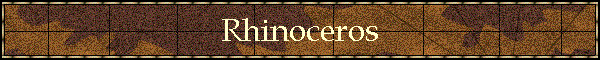 Rhinoceros